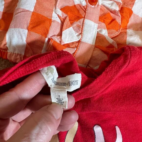 2T Girls Bundle Tea Collection, Hanna Andersson, Monica & Andy, Crew Cuts... - Picture 10 of 16